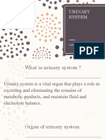 Urinary System: Yudha Bayu Firmansyah