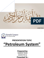 Petroleum System