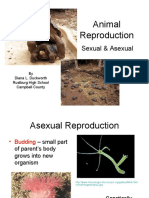 Animal Reproduction: Sexual & Asexual