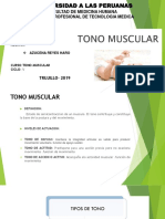 Tono Muscular R.N