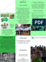 Brochure Tocar y Soñar 1.pdf