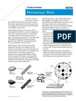 How DNA microarray works.pdf