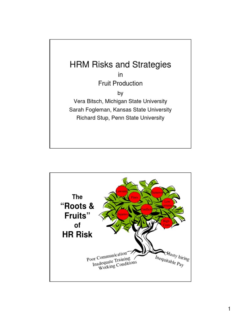 HR Risk | PDF | Performance Appraisal | Employment