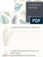 Digestive System: Carbohydrate, Protein and Fat Digestion