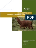 Ficha de Proyecto Productivo