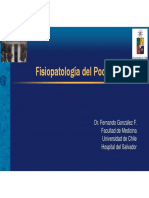 Enfermedad de Los Podocitos PDF