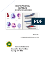 Modul Praktikum.pdf