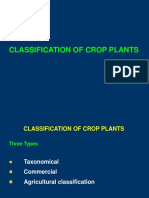 3.classification of Crop Plants