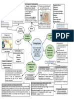 Mapa Mental - Conductismo - Alvaro T.
