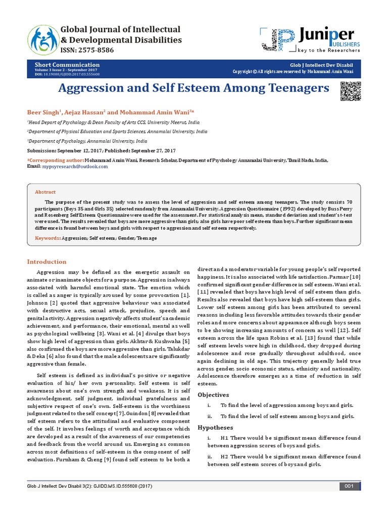 Aggression And Self Esteem Among Teenagers Pdf Pdf Aggression