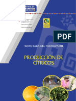 Citricos_Guia_Participante.pdf