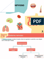 Sistema nervoso coordena funções vitais