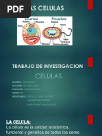 Las Celulas