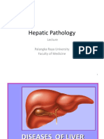 Hepatic Pathology: Palangka Raya University Faculty of Medicine