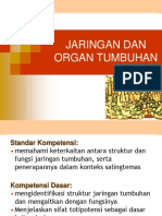 Jaringan Dan Tumbuhan