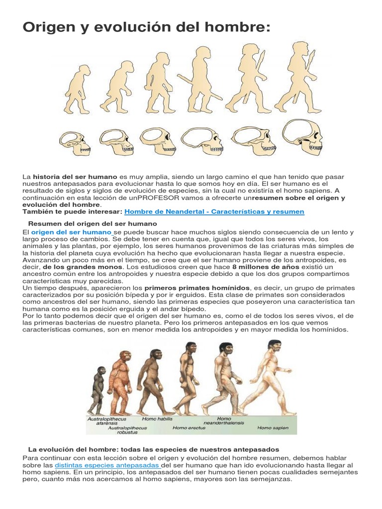 Origen y evolución del ser humano | PDF | Homo | Evolución humana
