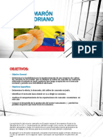 EL CAMARÓN ECUATORIANO ECONOMÍA.pptx