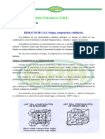 nota_tecnica_GPA_hidratos.pdf