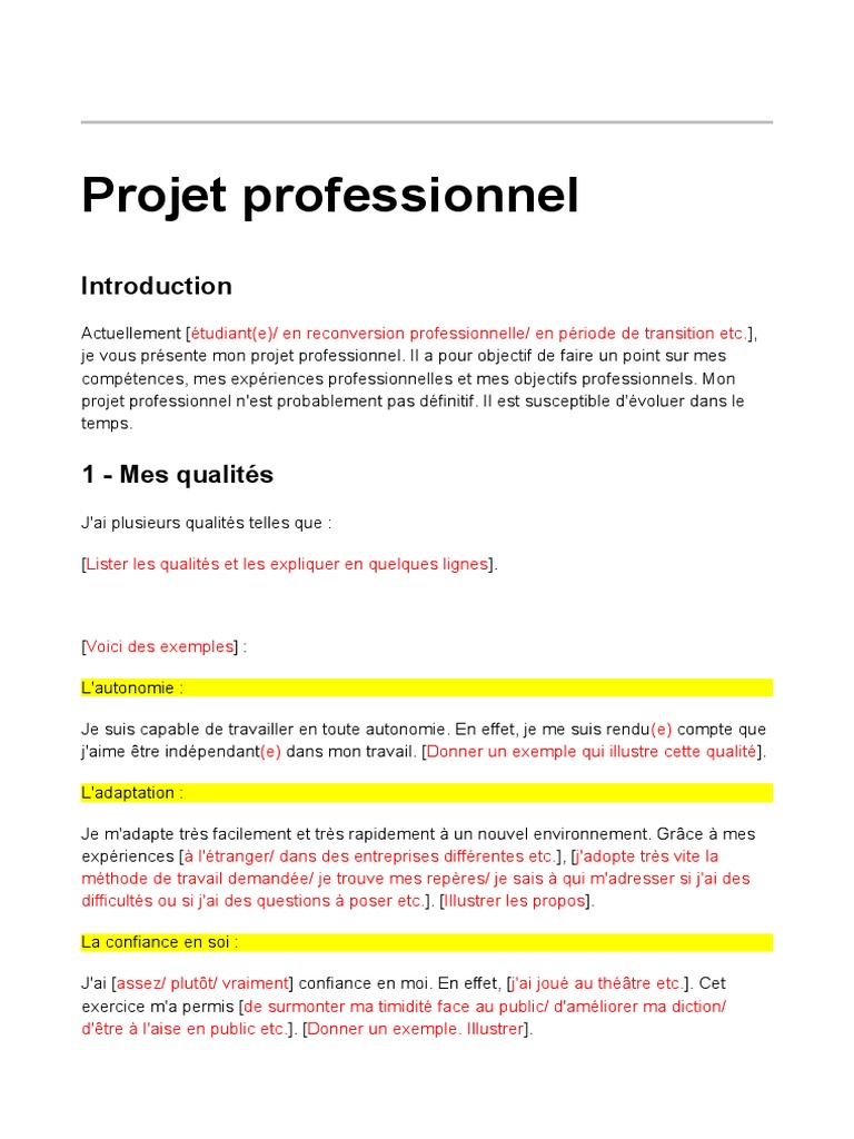Exemple Projet Professionnel Pdf Psychologie