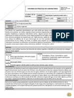 Informe Celula Vegetal