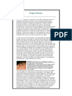 02 Pragas-Urbanas PDF