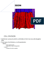 Cell Cycle and Mitosis 2017