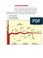 ARTERIA MAXILAR INTERNA.docx