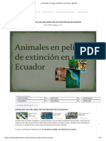10 Animales en Peligro de Extinción en Ecuador【2019】