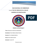 Periodonto de Insersión.docx