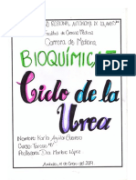 Ciclo de La Urea. Karla Aguilar 