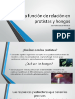 Protistas, hongos y sus respuestas a estímulos externos (taxias y tropismos