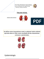 Trauma Renal