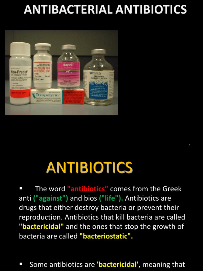 Antibiotics Penicillin Bacteria