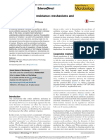 Collective Antibiotic Resistance: Mechanisms and Implications