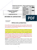 Ejemplo de Informe Completo Con Rúbrica, Formato e Indicaciones