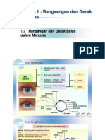 1.2 Rangsangan dan Gerak Balas dalam Manusia (2).pptx