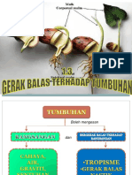 RANGSANGAN_GERAK_BALAS