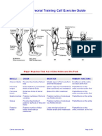 Ultimate Personal Training Calf Exercise Guide: Major Muscles That Act at The Ankle and The Foot