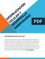 1. Diferenciación Celular y Desarrollo Embrionario.pdf