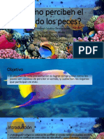 Cómo perciben el sonido los peces.pptx