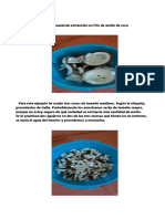 Aceite de Coco PDF