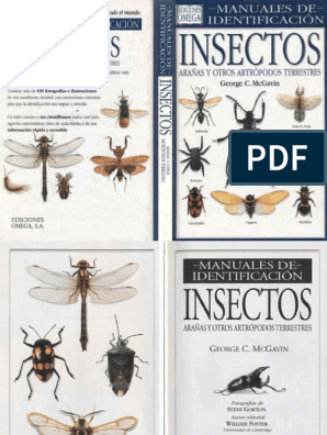Mundo de Insectos con Aspirador de Insectos/ Nido de Hormigas Libro de Aprendizaje para Principiantes