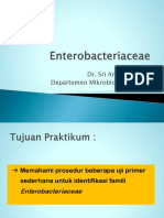 Praktikum 6 Bbs - Enterobacteriaceae