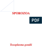 Parasitologi - Protozoologi Sporozoa