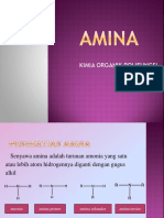Amina 1-1-1