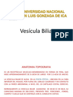 VESICULA BILIAR 2014.pdf