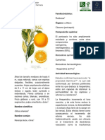 Monografía sobre la Naranja Dulce (Citrus sinensis) y sus propiedades medicinales
