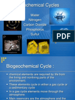 Biogeochemical