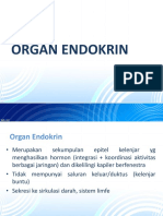 Organ Endokrin