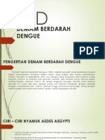 Penyuluhan DBD (Demam Berdarah Dengue)